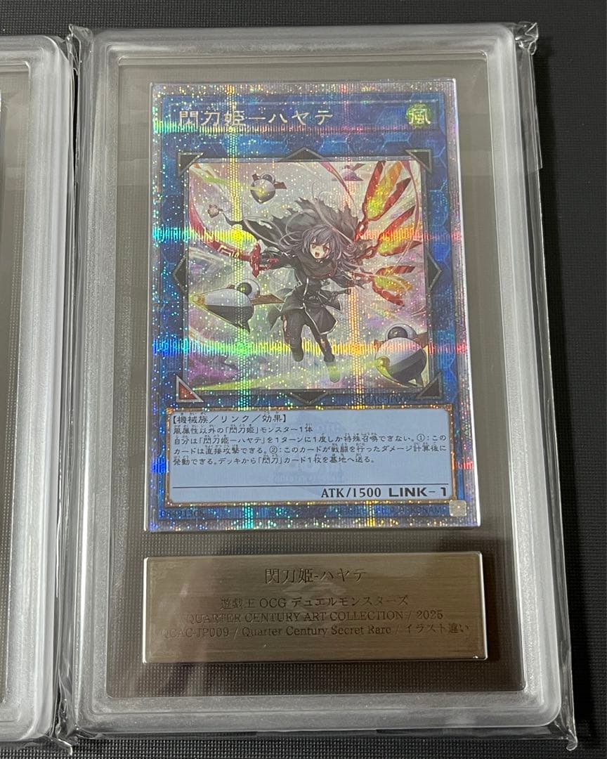 ARS10 閃刀姫 レイ 閃刀姫 ハヤテ 絵違い アートコレクション PSA10