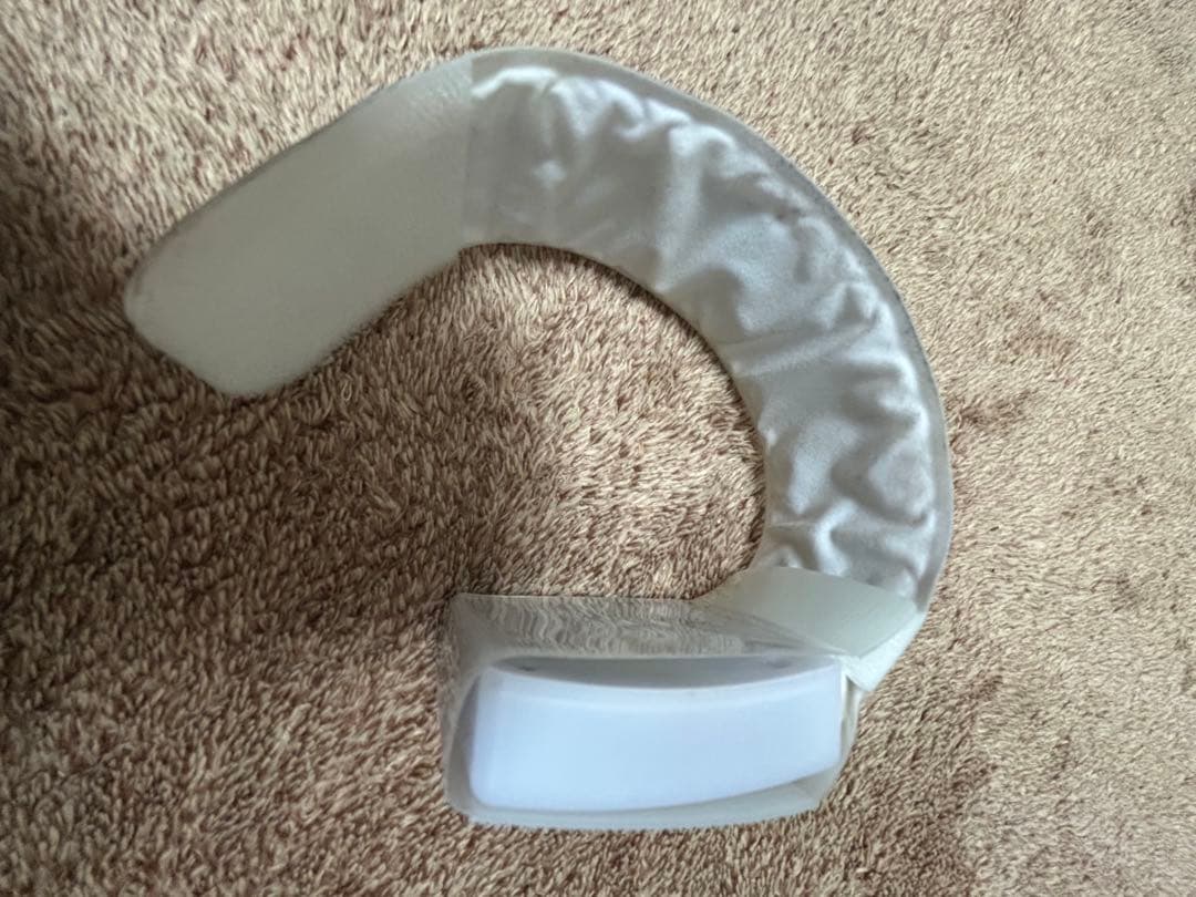 ゼンジン未到とヴェルトラウム〜銘銘編〜 ライトバンド