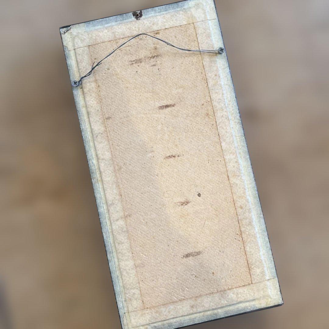 ヴィンテージマレーシアマレーオオナナフシ　標本　昆虫