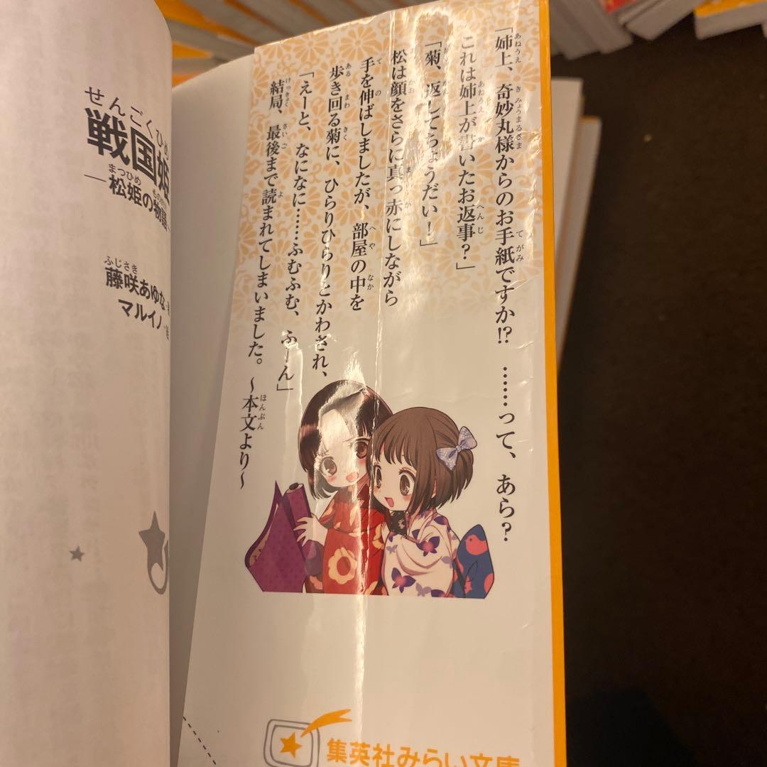 戦国姫23冊　幕末姫2冊　源平姫2冊　平安姫1冊 全28冊セット