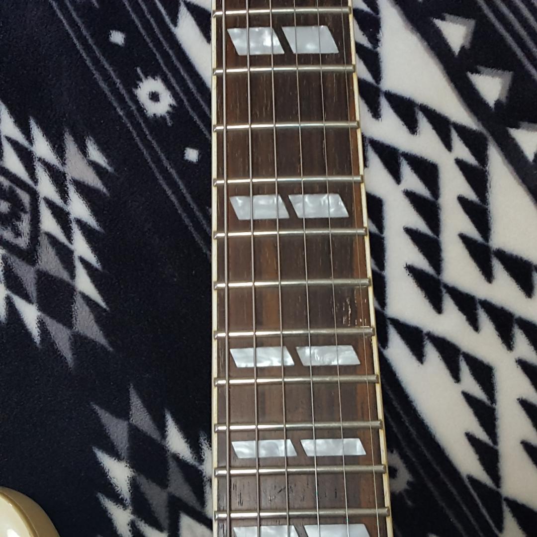 （非常に希少）2011年製エピフォン ES-345 AW ビグスビー付き