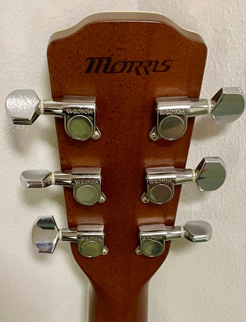 極鳴り❗️MORRIS MF601❗️希少材ハカランダアコギ❗️