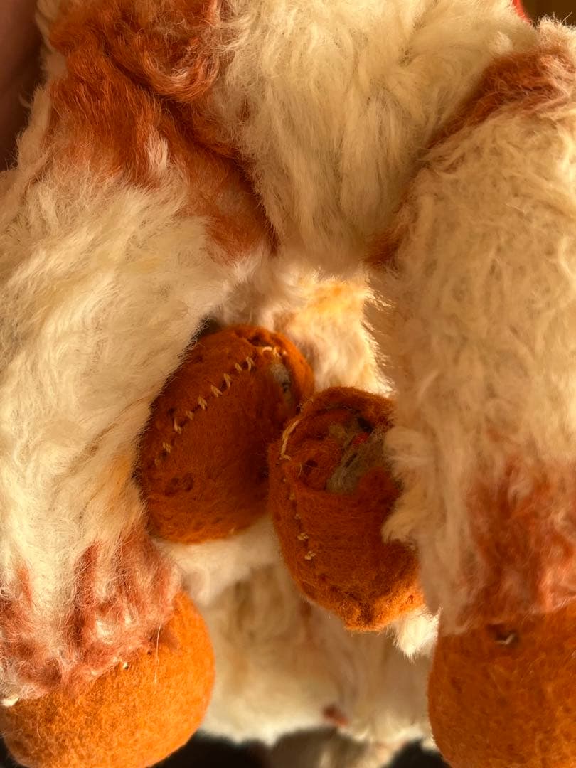 ラシュトン　ラバーフェイス　Rushton Star Creation