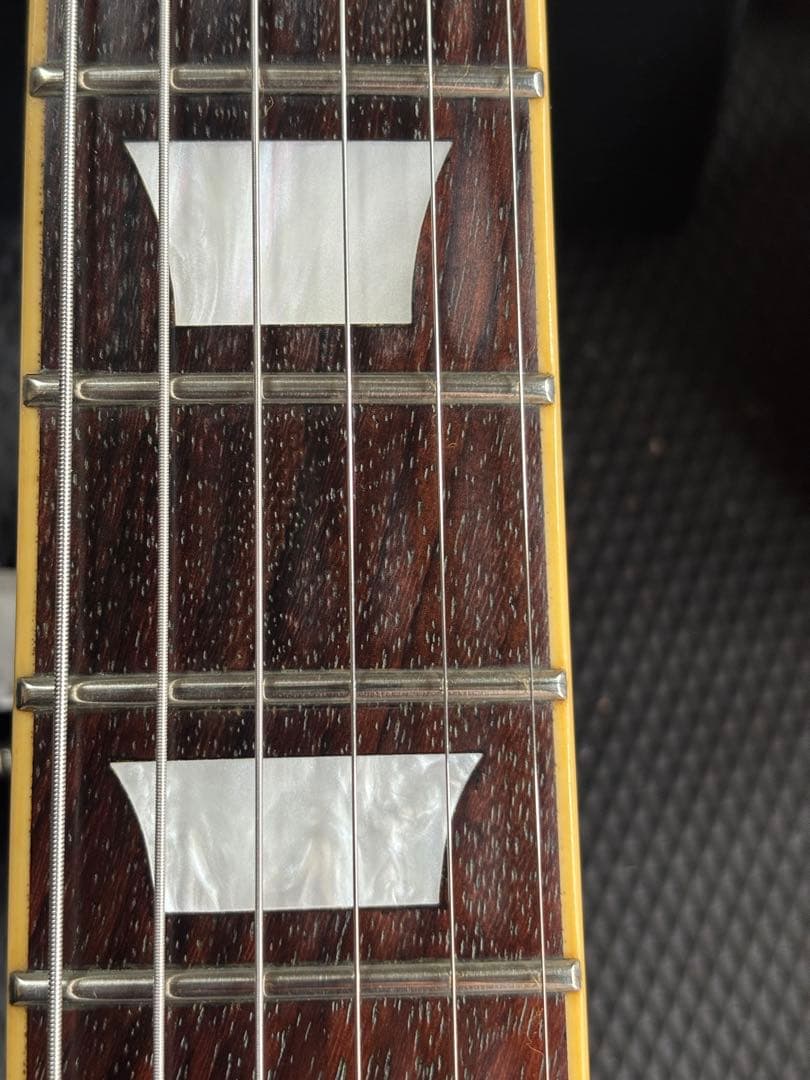 横山健　aloha レスポール　Edwards