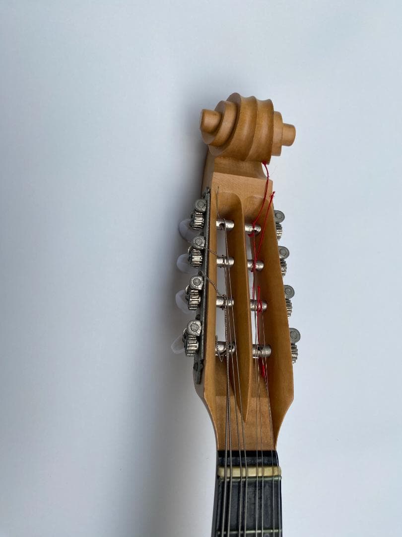 木製マンドリン ケース付き