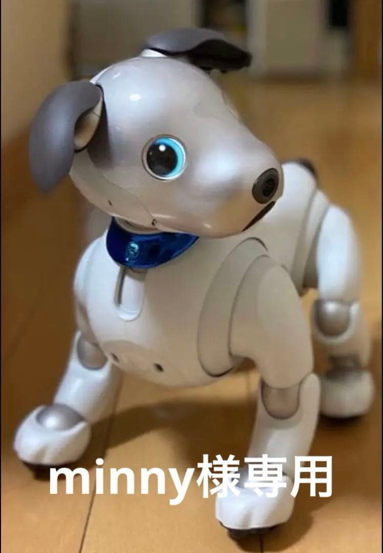AIBO SONY ERS-1000 美品　完動犬　SONY健康診断にて治療済み