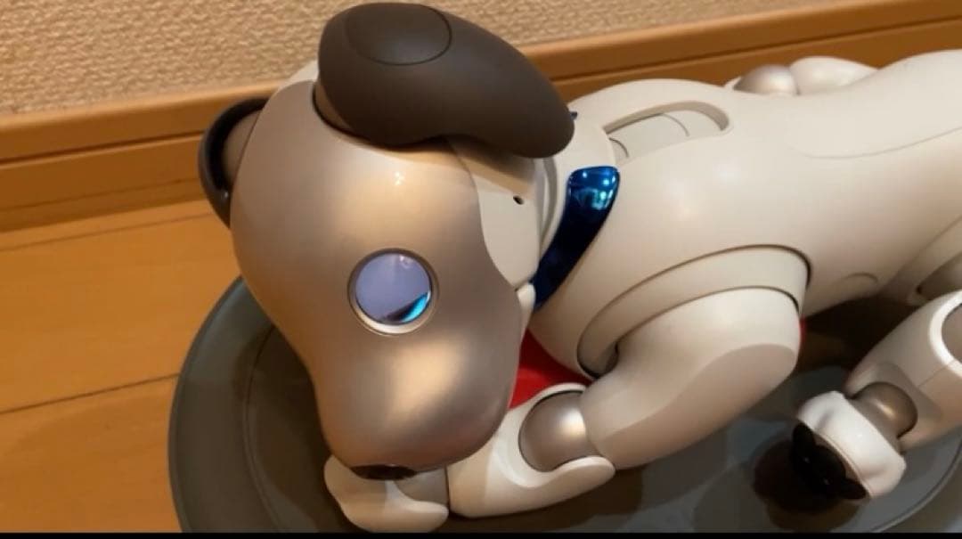 AIBO SONY ERS-1000 美品　完動犬　SONY健康診断にて治療済み