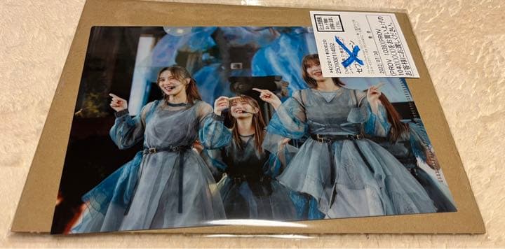 櫻坂46 渡邉理佐 小林由依 クリアファイル