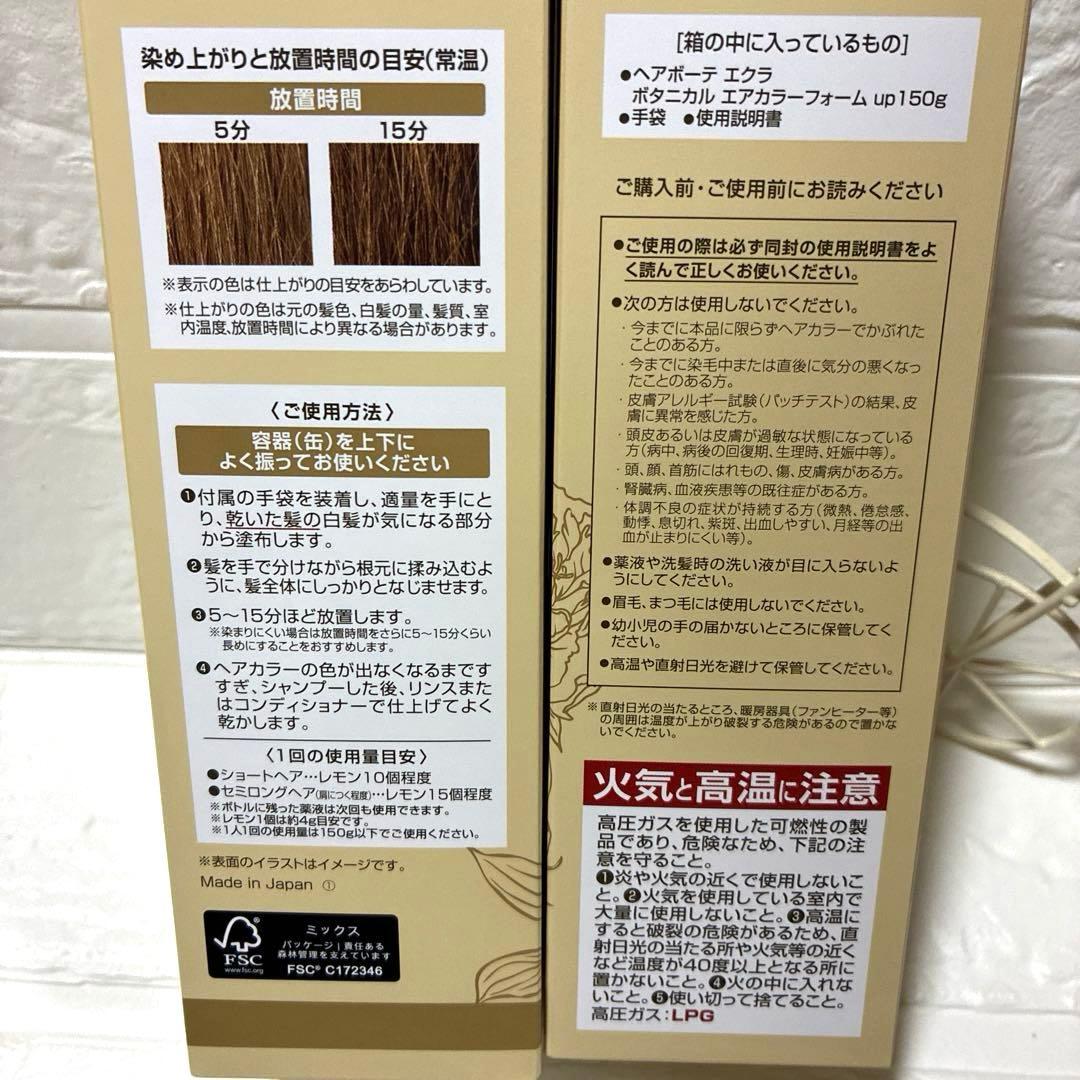 ヘアボーテ エクラ ボタニカル エアカラーフォームup ライトブラウン 2本