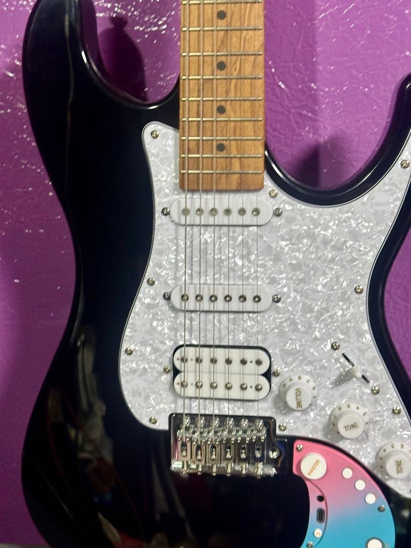 Bullfighter D-160SE (新古品)