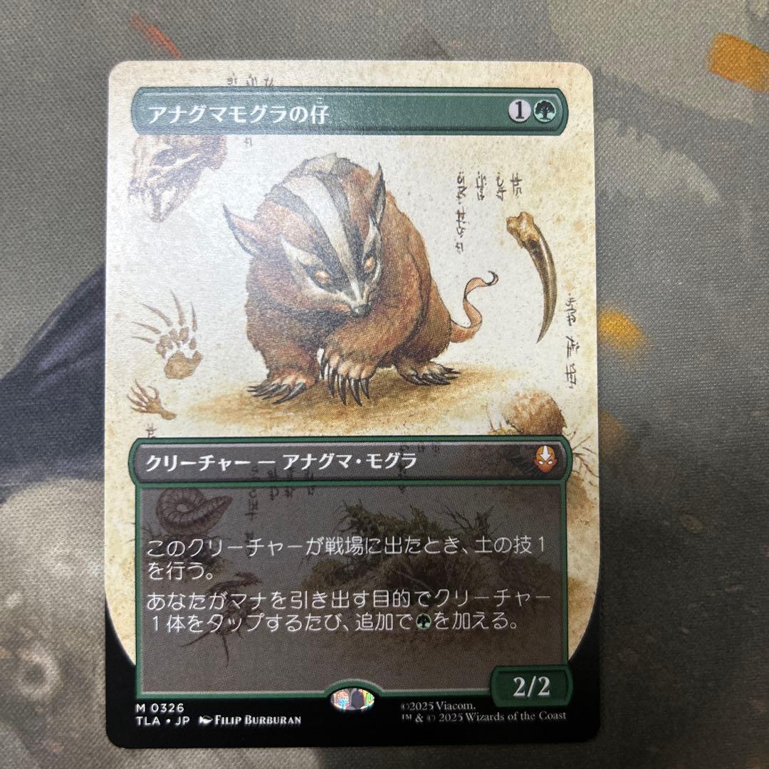 MTG アナグマモグラの仔 Badgermole Cub 拡張版 日本語