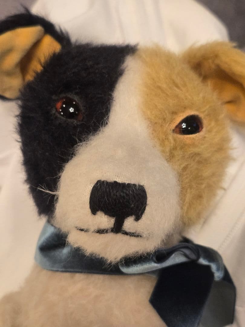 大國早苗さんの 犬のぬいぐるみ。