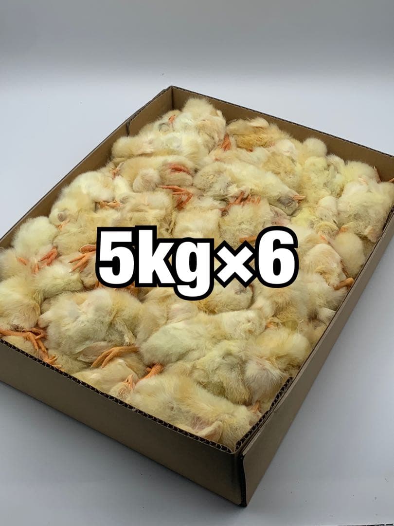 冷凍ヒヨコ5kg×6段【送料込】