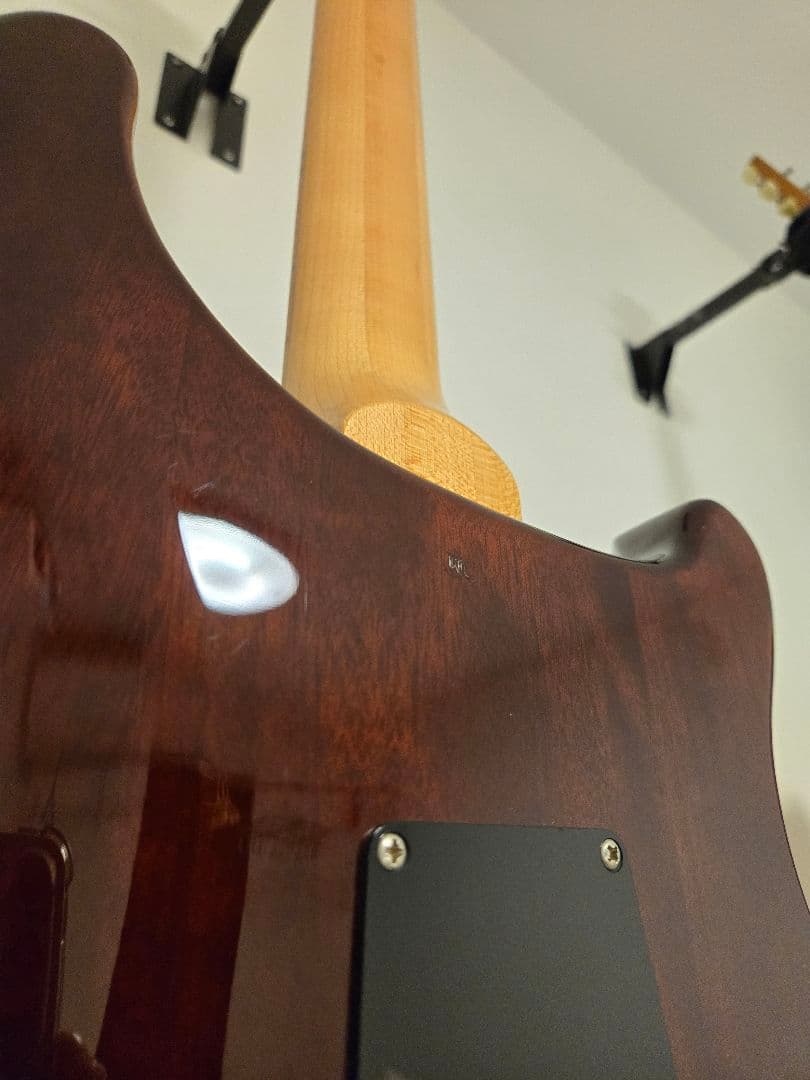 レフティ　PRS SE custom24 ケース付き