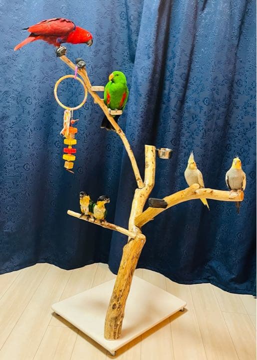150cmハンドメイドバードアスレチック 鳥インコ止まり木 小型 中型 大型兼用