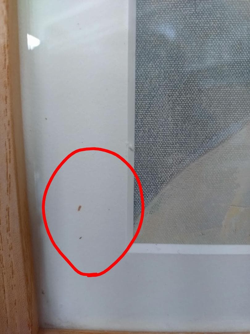 Y【保管品】アルベナの絵画　アルベナフリストバ　レプリカ　アートパネル　額付き