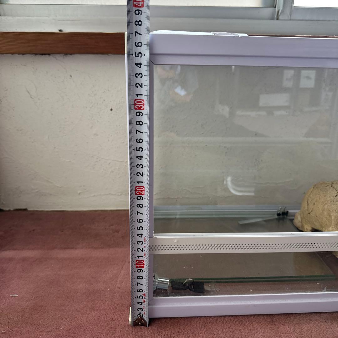 爬虫類ショーケース・ケージホワイト6035 Arionスプレー+水皿付き