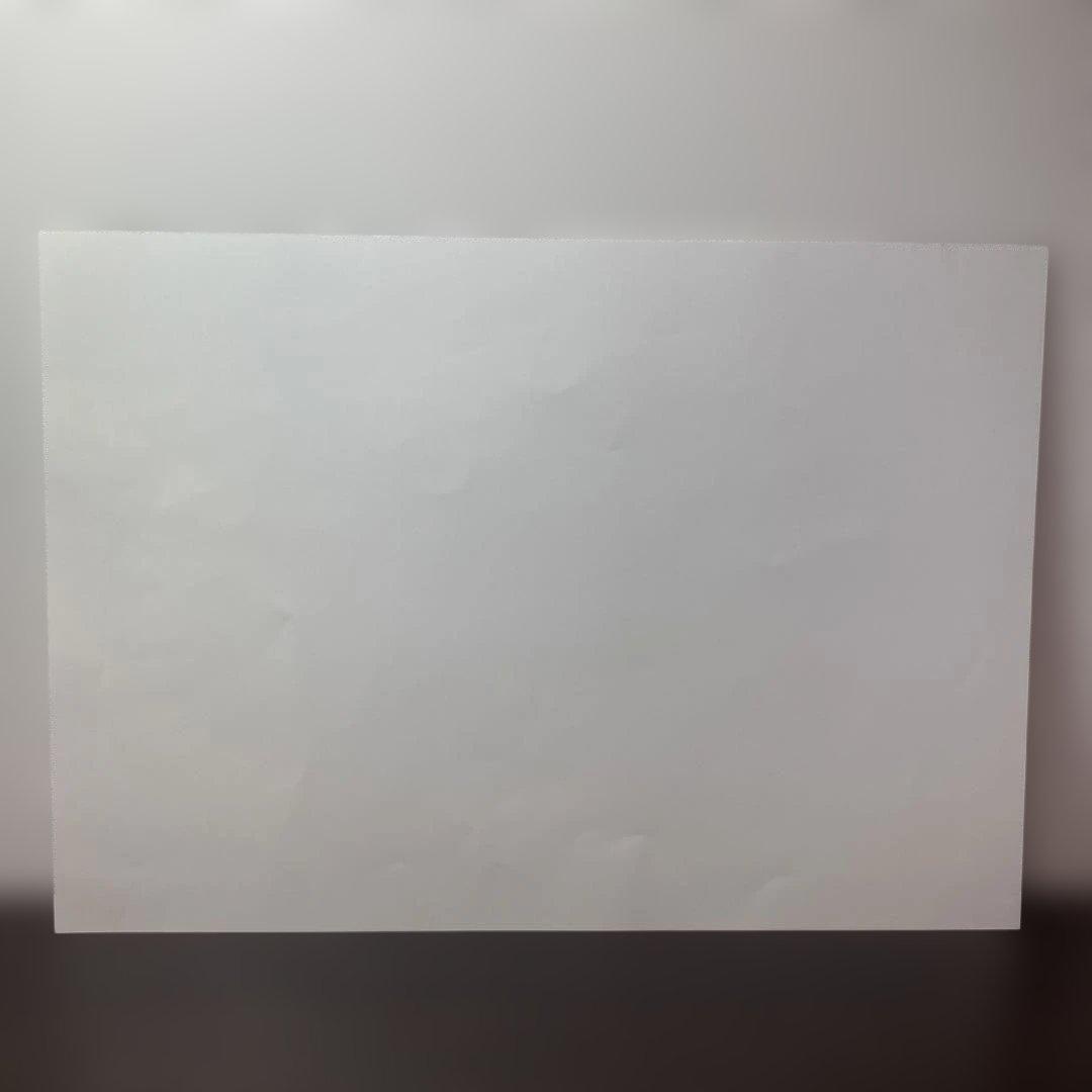 鳥山明の世界展 ドラゴンボール 複製原画 ポスター（封筒付き）