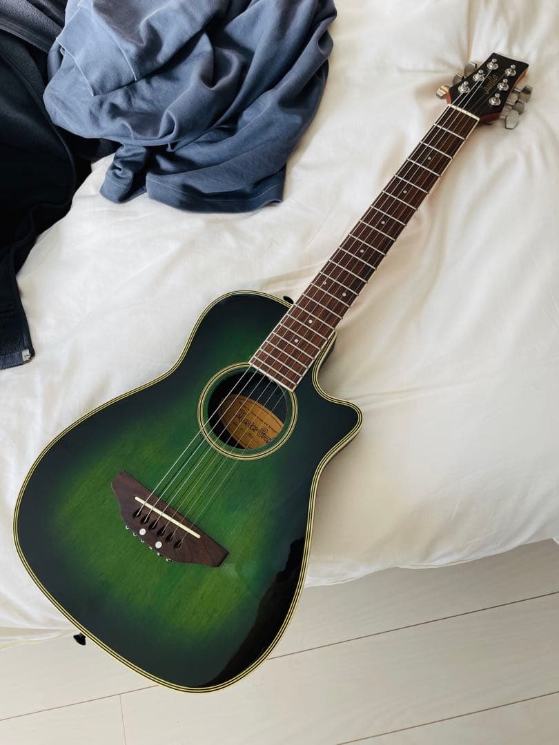 マスタークラフト　ミニエレアコギター