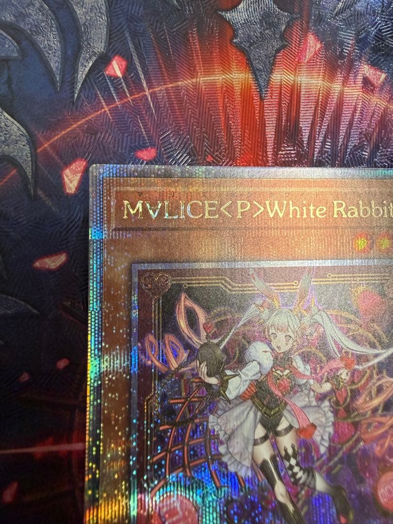 MVLICE<P>ホワイトラビット