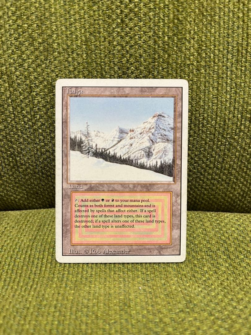 MTG　Taiga　3ED英　1枚