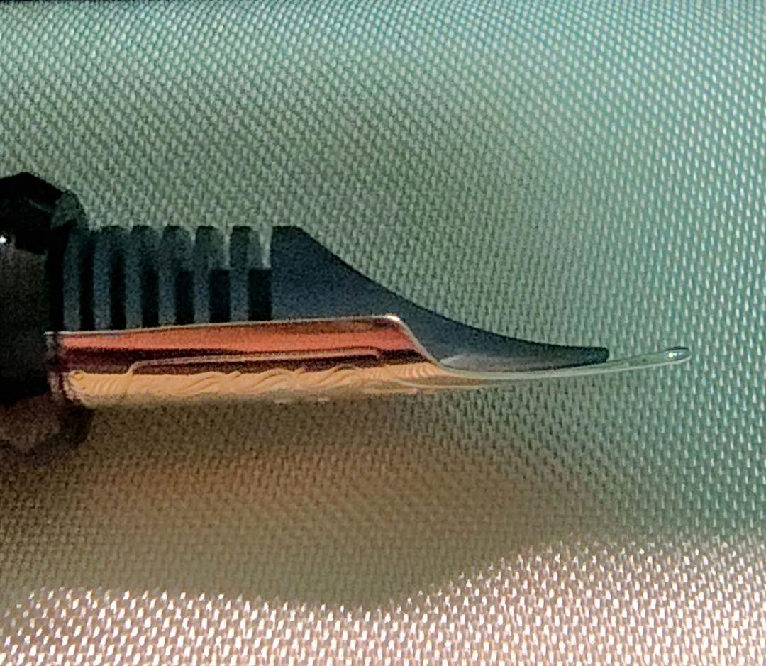 パイロット 万年筆 カスタム カエデ F（細字）