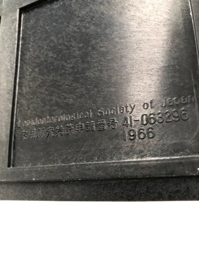 【大型 ドイツ箱・昭和41年印・当時物】蝶 大型 標本 レア 貴重