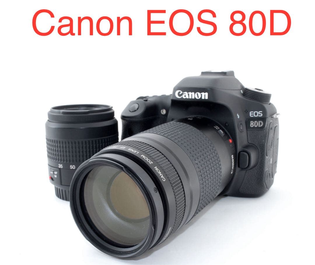 Canon EOS 80D標準&望遠ダブルレンズセット