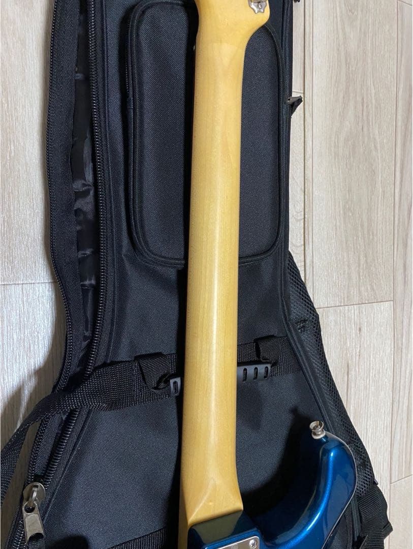 ギター FUJIGEN(FGN) NST-100RAL OLP