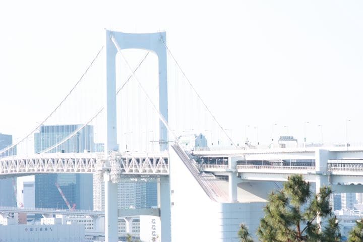 Canon EF ズームレンズ　55-200mm