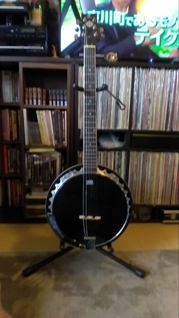 オルテガ6弦バンジョー Raven Seres OBJE 350/6 SBK