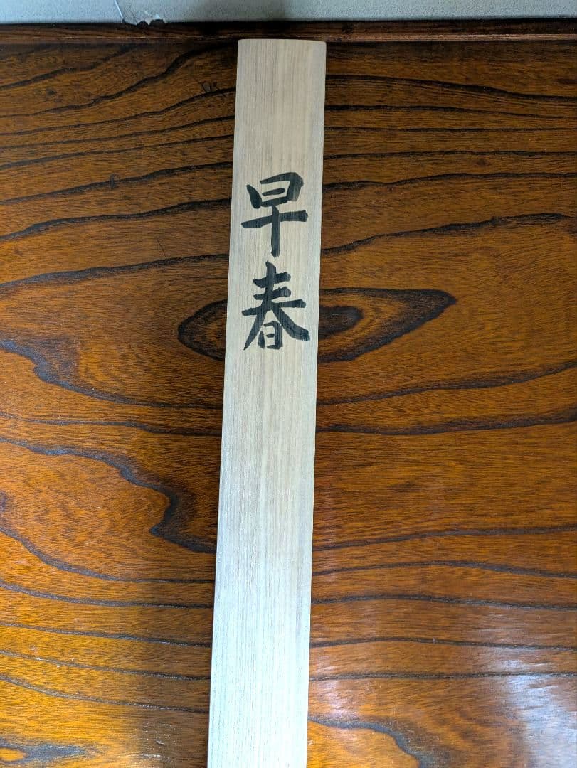 ［美品］掛け軸　日本画「早春」大野草思