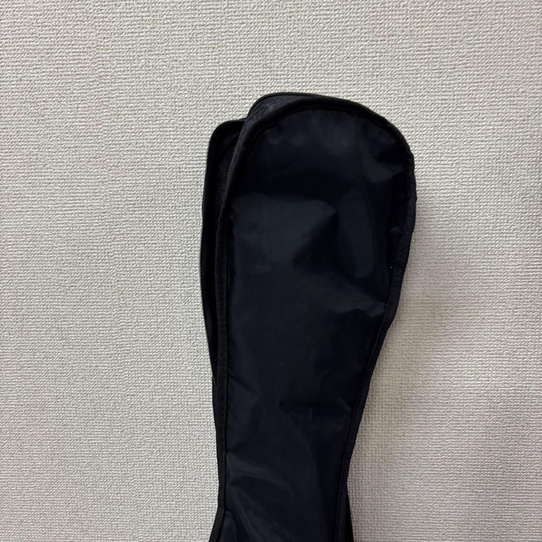 Photogenic BK エレキギター　ぼっちざろっく