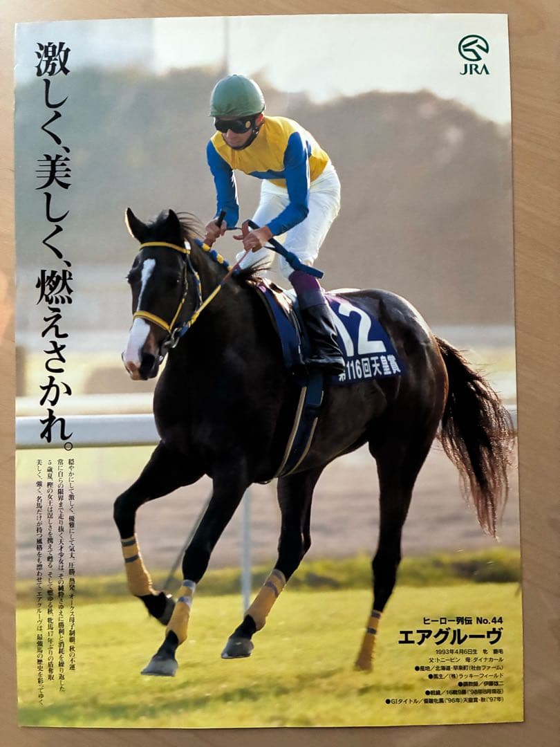 値下げご依頼分　JRAヒーロー列伝　No.44 エアグルーヴ