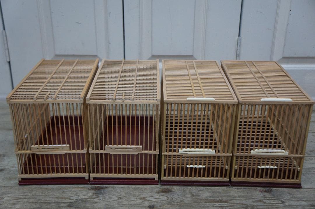 品評会用 桐箱付き 4点 30㎝ 竹籠 メジロ 鳥 鳥かご 状態良好 鑑賞籠 篭