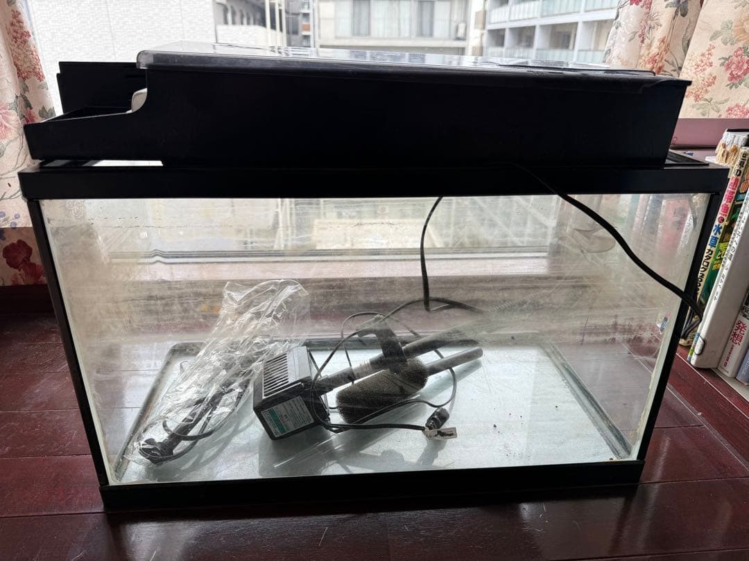 NISSO60サイズ淡水魚飼育セット前面カブガラス日本製