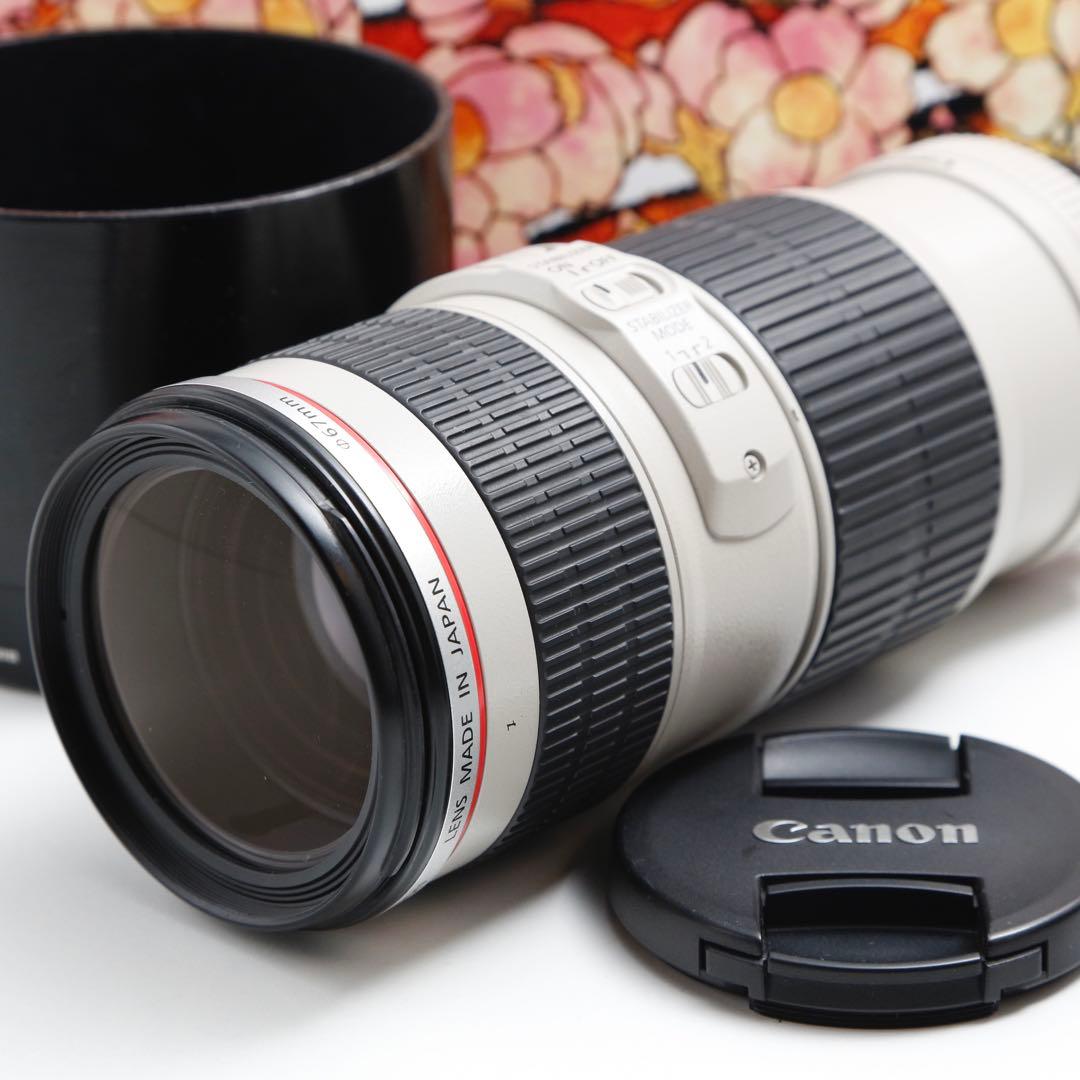 ❤️憧れの白レンズ❤️キヤノン EF 70-200mm f4L IS USM❤️