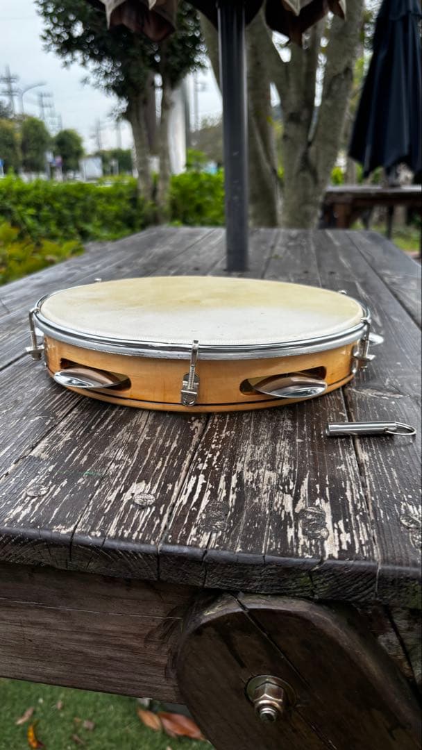 パンデイロ　Pandeiro size10 capoeira パーカッション