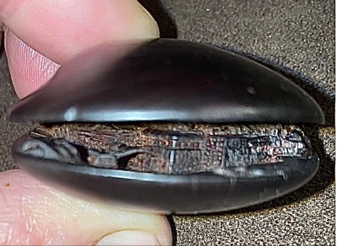 ⚫️新年セール⚫️ 名工 玉光銘 細密彫刻 蛤根付 木製