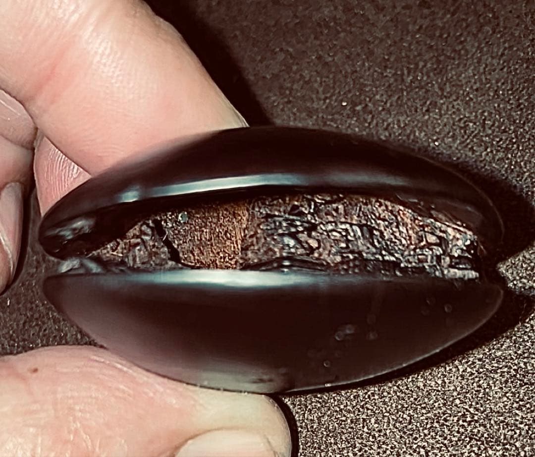 ⚫️新年セール⚫️ 名工 玉光銘 細密彫刻 蛤根付 木製