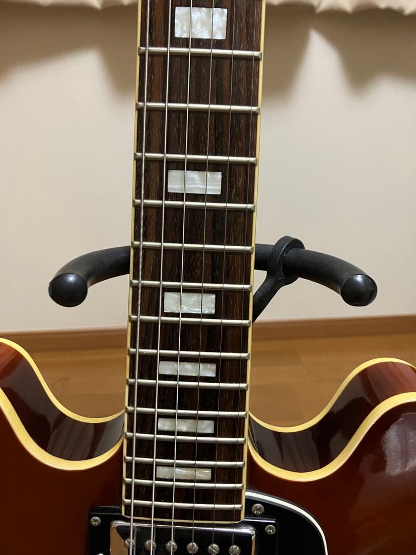 ぱぐじゅ様用Epiphone es-335