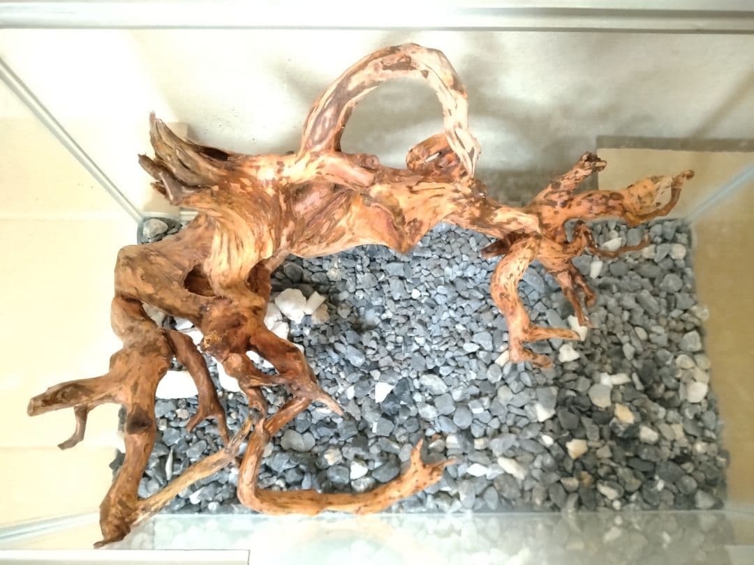 流木・ＮO・2　春まで休みます