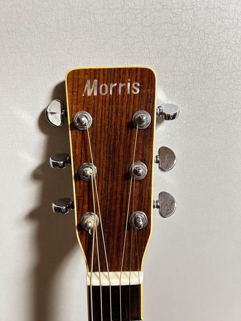 Morris MD-507 アコースティックギター