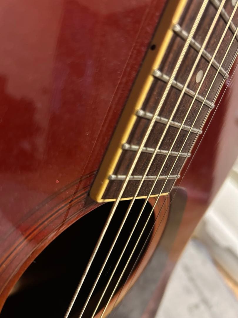 Morris MD-507 アコースティックギター