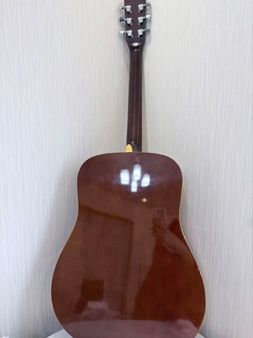 Pro Martin 180-W アコースティックギター