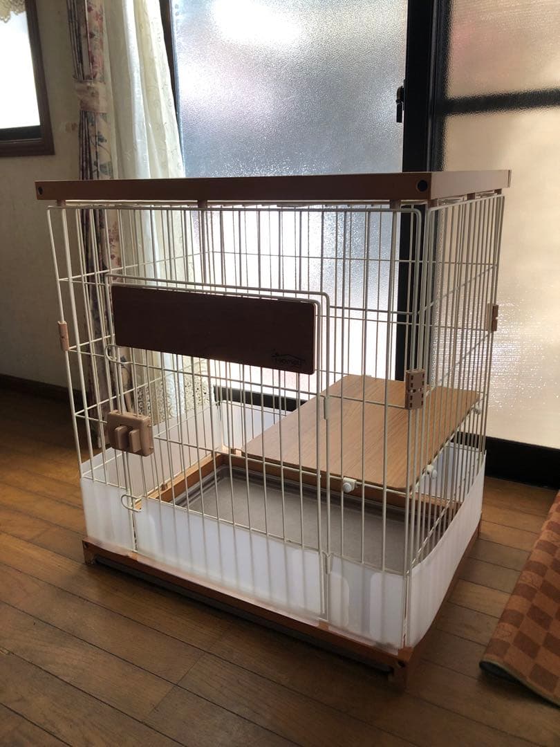 y キャットサークルシングル