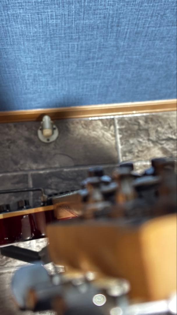 EVH Wolfgang WG Standard 中古美品