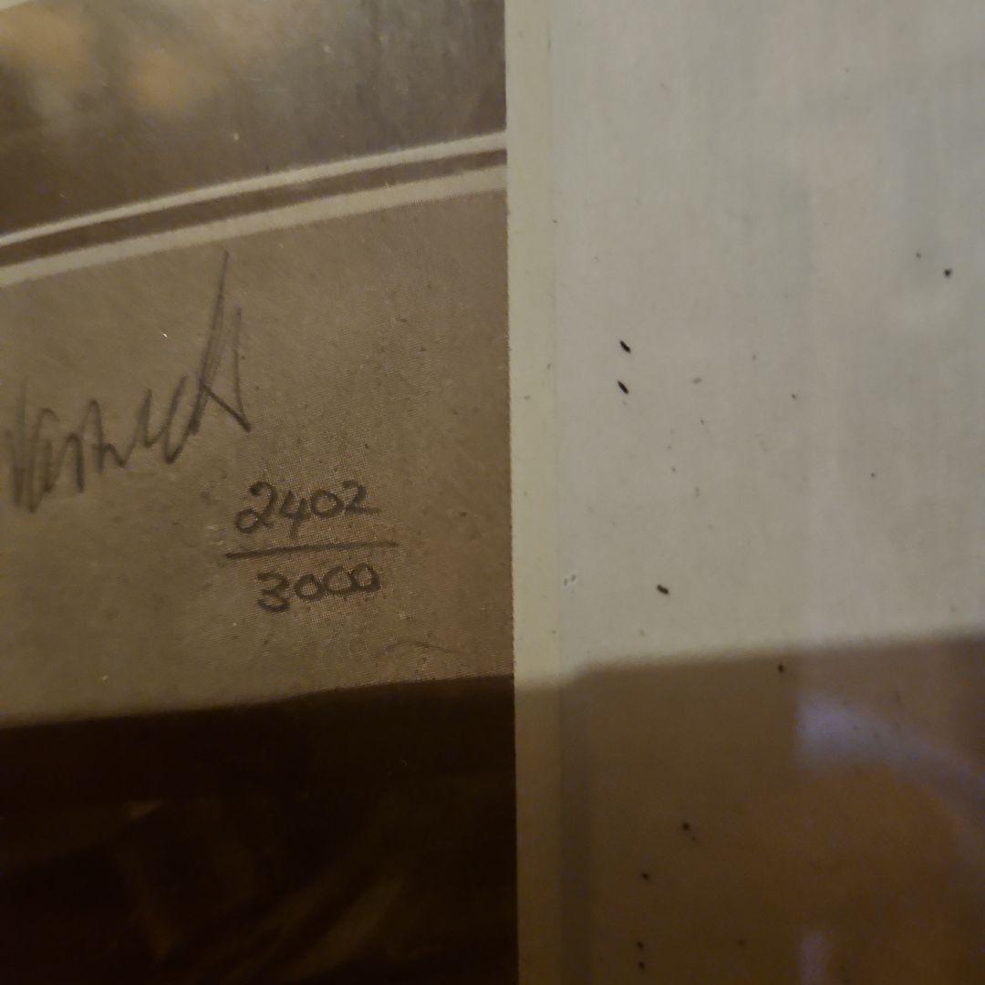 アイルトン・セナ 肖像画 限定印刷 2402/3000