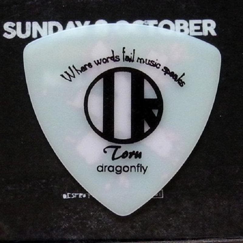 ONE OK ROCK ワンオクロック シドニー公演 AAAパス ギターピック