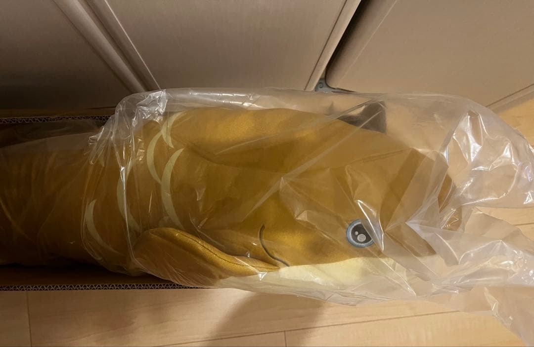 ネオケラトドゥス　大型　ぬいぐるみ 　キョーリン